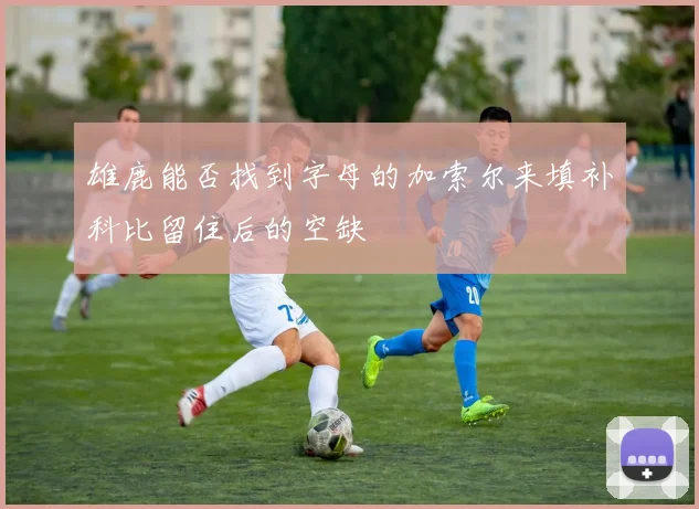 雄鹿能否找到字母的加索尔来填补科比留住后的空缺