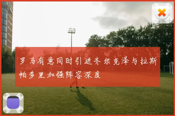 罗马有意同时引进齐尔克泽与拉斯帕多里加强阵容深度