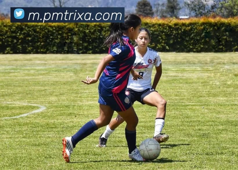 PM体育平台生态图