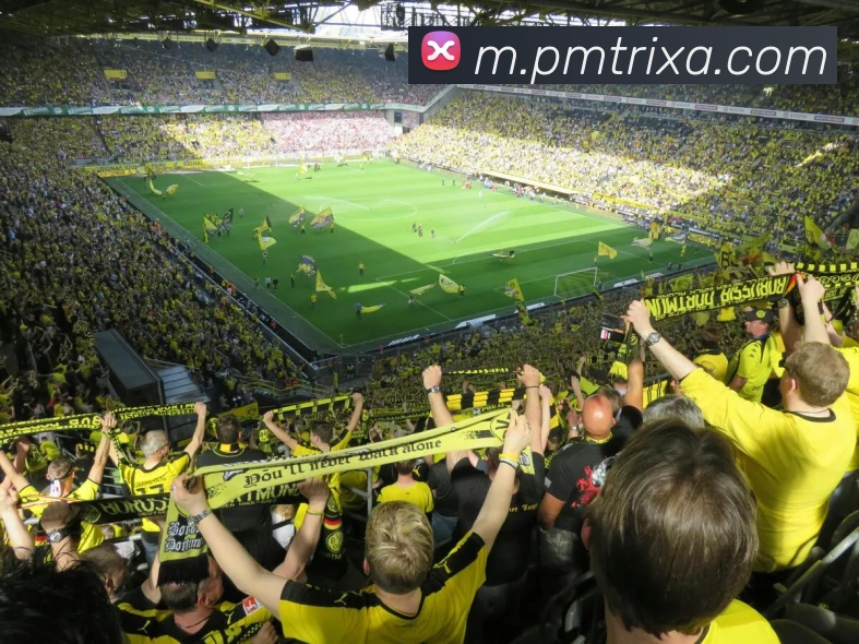 数据防护可视化